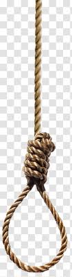Hangman S Knot Rope Illustration Photography Grey Twine Transparent Png Knot clipart noose knot, knot noose knot transparent free.