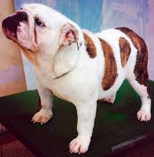 Chanel Bernal's Instagram, Twitter & Facebook