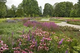 Landschaftsarchitekt Piet Oudolf Bringt Den Graflichen Park Wieder Zum Leuchten Landschaftsdesign Bepflanzung Garten Und Outdoor