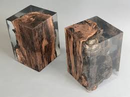 Fungi Stool Is A Block Of Apple Tree Wood With Native Populations Of Mushrooms And Extraclear Resin Wood Decay Fungi Is Resin Furniture Resin Table Wood Resin