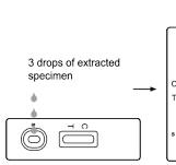COVID-19 Rapid Antigen Test | Assay Genie