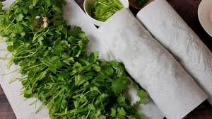 How to store cut cilantro. How To Store Coriander Cilantro Leaves For 2 3 Weeks What Do You Do With Coriander Stems Aaichi Savali