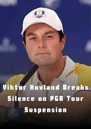 Golfer suspended for reckless rule infringement