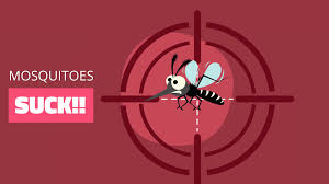 Manta has 18 businesses under pest control in murfreesboro, tn. Ace Exterminating Murfreesboro Office 701 S Church St Murfreesboro Tn 2021