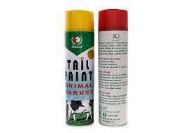 Cool Spray Paint Ideas That Will Save You A Ton Of Money Pet Friendly Spray Paint