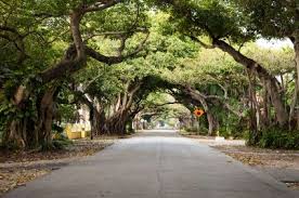 Historic Old Cutler Road In Coral Gables Coral Gables Florida Coral Gables Miami Coral Gables