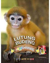  33 Ide Flora Fauna Lembu Laut Badak Jawa Primata