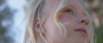 Brownies (2023) — Aisha Ford