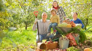 Un blog ce cuprinde planse de colorat si fise de lucru pentru copii. Ce PoÈ›i Face Toamna Asta Cu Juniorii 7 ActivitÄƒÈ›i Pentru Copii È™i PÄƒrinÈ›i Kidmagia