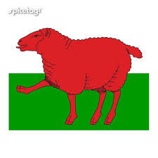 It took until 1959 for the welsh national flag to be officially unfurled for the first time. Wales T Shirt Welsh Tshirt Proud Funny Dragon Flag Tee Sheep Etsy Wales Flag Funny Dragon Cymru