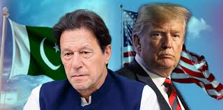 Donald Bloom Archives