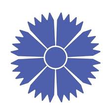 Belavia belarusian airlines, legally joint stock company belavia belarusian airlines (belarusian: Belavia Airlines Belavia By Twitter