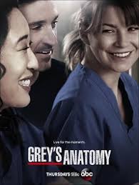 Maybe you would like to learn more about one of these? Grey S Anatomy Saison 10 Episode 1 Vostfr