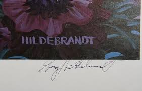 Image result for Oliverella hildebrandtii