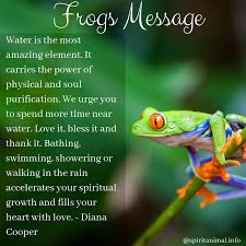 Frog Spirit Animal Spirit Animal Totem Spirit Animal Meaning Animal Totem Spirit Guides