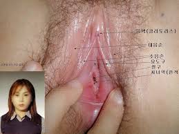 korean woman pussy 합사 - 아이돌 야사 자세히