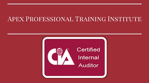 How to become a certified internal auditor. Cia Course Apex Professional Training Institute