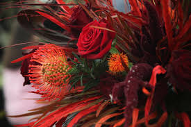 Harry potter flowers and plants. Harry Potter And The Goblet Of Fire By Katraz Photography Flowers Plants