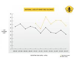 Nations Beekeepers Lost 33 Percent Of Bees In 2016 17