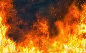 Download animated wallpaper, share & use by youself. 31 Anime Fire Wallpaper Free Download Tachi Wallpaper