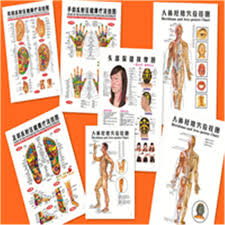 Us 18 55 Hot 7 Pcs English Healthcare Human Acupuncture Wall Chart Diagram Foot Hand Head Ear Boby Acupuncture Meridian Chart In Massage