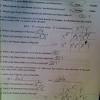 Answers lab 9 mendelian genetics.docx. 1