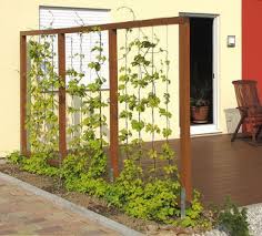 Spannseile Fur Hopfen Amenagement Jardin Jardins Idees Jardin