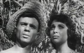 Edward Ludwig's Westerns