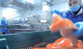 Nov 07, 2015 · 30. Pabrik Pakan Ikan Dan Udang Pertama Bumn Berita Harian Bumn