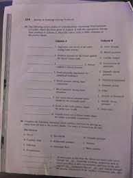 Anatomy physiology coloring workbook answer key chapter 3. Solved 224 Anatomy Physiology Coloring Workbook 29 The Chegg Com