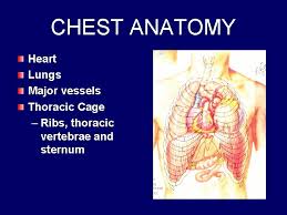 It describes the theatre of events. Chest Trauma Rifles Lifesavers Chest Anatomy Heart Lungs