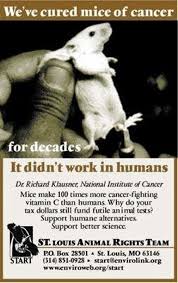 Support Humane Alternatives Animal Advocacy Stop Animal Testing Animal Liberation
