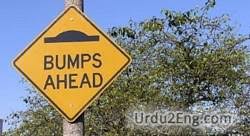 Lancashire crashed back into the relegation zone with a nightmare roses defeat at old trafford on saturday.: Bump Urdu Meanings