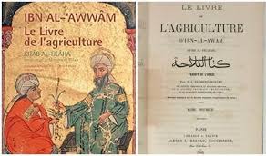 ابن العوام الإشبيلي