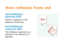 Learning And Conditioning Ppt Download