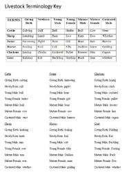 Livestock Terms Key By Ag Resources Teachers Pay Teachers