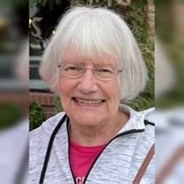 JoAnn Catherine Bounk Obituary (2024)