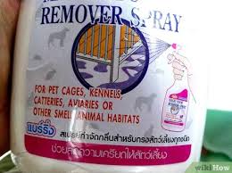 Amazon.com has been visited by 1m+ users in the past month How To Remove Cat Urine From Wood Floors With Pictures Wikihow Life