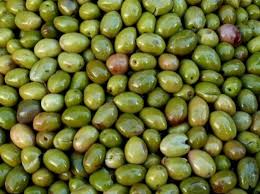 Exporting Table Olives To Europe Cbi