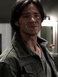 Has Sam ever been someone's favorite in the series? : r/Supernatural