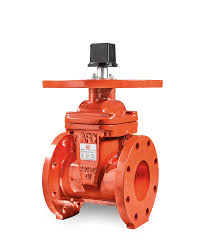 NRS Flanged Gate Valve – American Fire Control