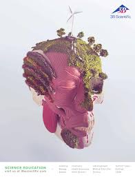 The first division is meiosis i: Ciencias By Entornosybienestarsas Issuu