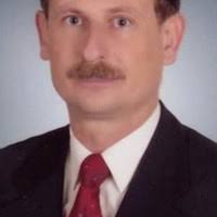 Veterinary Sciences and One Health Journal VSOHJ