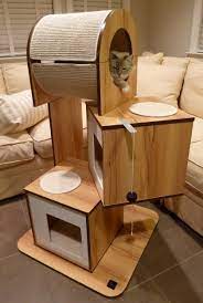 Do You Have A Cat Tree For Your Cat Why Or Why Not Readers Weigh In