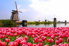 Yüzyıldan beridir gemicilik, balıkçılık, ticaret ve bankacılık hollanda ekonomisinin en önemli. Hollanda Ab Turkiye