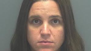 Lee County Arrests 11/24