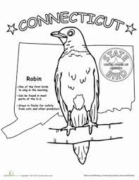 Elmer with three birds coloring page print. Connecticut State Bird Worksheet Education Com