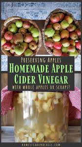 Raw apple cider vinegar is easy to make and will save you a bundle as store bought is about 4 times more expensive than homemade. Preserving Apples How To Make Homemade Apple Cider Vinegar Homestead And Chill Apple Cider Vinegar Recipes Diy Apple Cider Homemade Apple Cider
