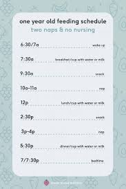 15: 12 Month Old Feeding Schedule - Mama Knows Nutrition