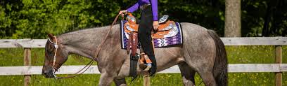 Handcrafted And Top Quality Custom Saddles | Jim Taylor Saddlery